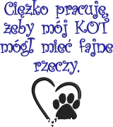 Ciężko pracuję, żeby mój KOT mógł mieć fajne rzeczy