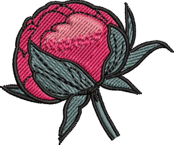 Piwonia
