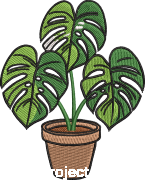 Monstera