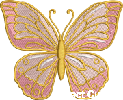 motyl.PNG