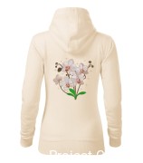 Orchidea