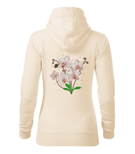 Orchidea