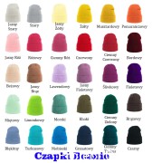 Czapki Beanie Kolory.jpg