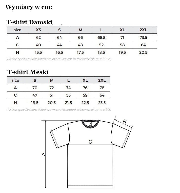 T-shirt - Wymiary