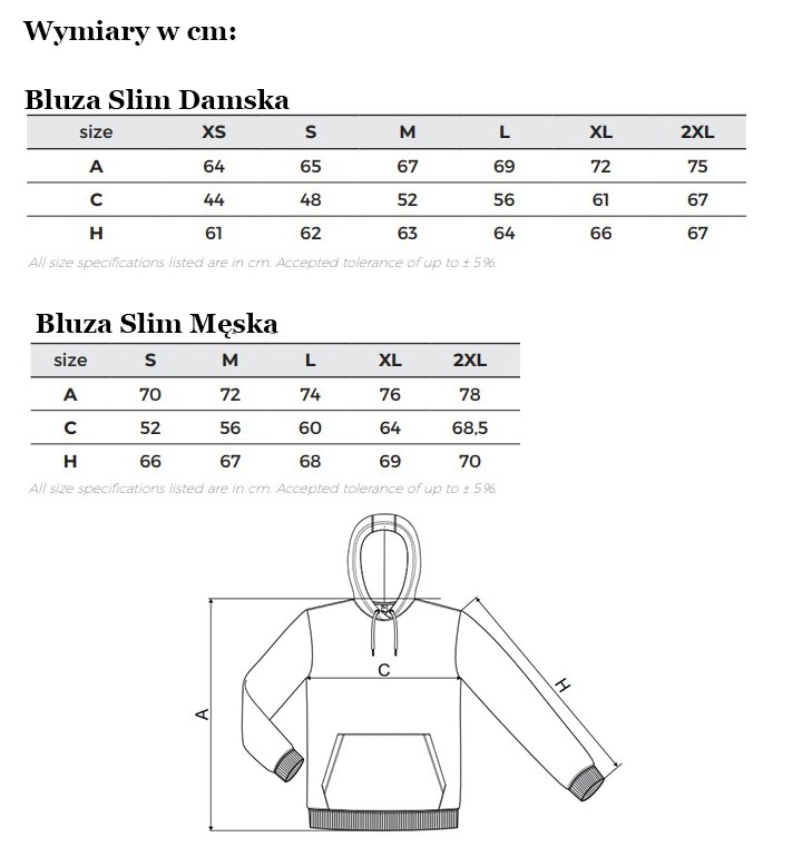 Bluza Slim - Wymiary