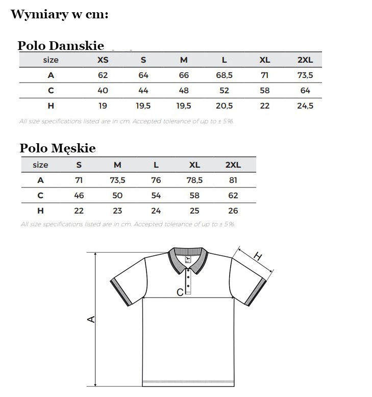 Polo - Wymiary